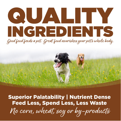 NutriSource Wholesome Grains Large Breed Dry Dog Food - Lamb & Rice - 26lb Bag